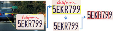 License Plate Sizing and Orientation